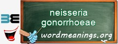 WordMeaning blackboard for neisseria gonorrhoeae